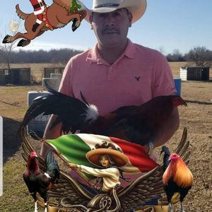 Meet your Posher, Marco at